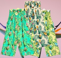 IPP-RP-250 IPP-RP-250
