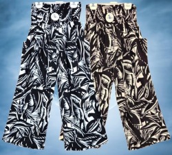 IPP-RP-224 IPP-RP-224