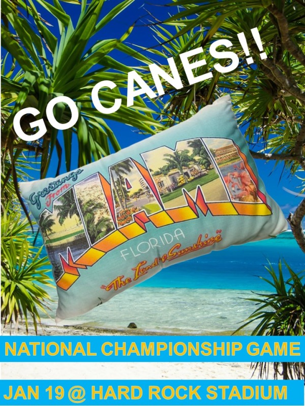 MIAMI POSTCARD PILLOW