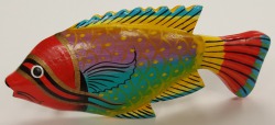 IPA1-BARRETTE-FISH13