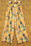 IPP-RP-249