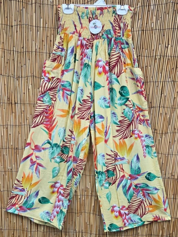 IPP-RP-253