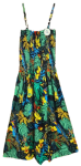 IPDR2-205-RST