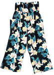 IPP-RP-248
