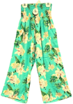 IPP-RP-248